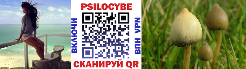 Галлюциногенные грибы мицелий  blacksprut ONION  Нововоронеж 